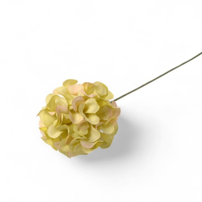 ORTENSIA PICCOLA CM4 VERDE CHIARO